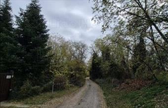 Eladó Pázmándfalui zártkert hirdetés (23965277)