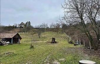 Eladó Váci egyéb telek hirdetés (48273324)