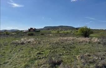 Eladó Szentendrei egyéb telek hirdetés (38565574)