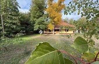 Eladó Lajosmizsei tanya hirdetés (97378634)