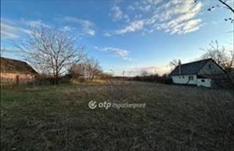 Eladó Nyíregyházai egyéb telek hirdetés (97749514)