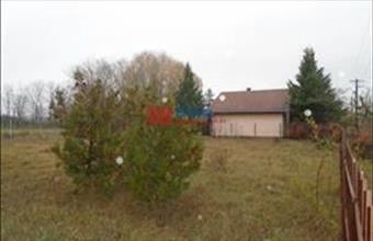 Eladó Tiszakécskei egyéb telek hirdetés (74724631)