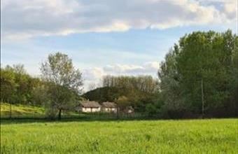 Eladó Szabolcsi családi ház hirdetés (59834744)