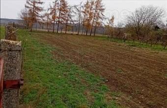 Eladó Balatonszárszói zártkert hirdetés (33538312)