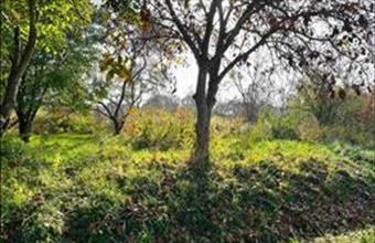 Eladó Siófoki lakóövezeti telek hirdetés (15445355)