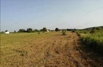 Eladó Cserszegtomaji lakóövezeti telek hirdetés (33124775)