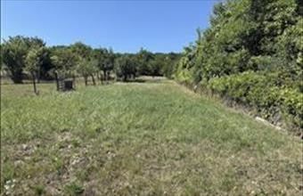 Eladó Alcsútdobozi családi ház hirdetés (49853796)