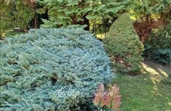 Eladó Budapest II. kerületi családi ház hirdetés (65233127)