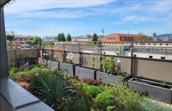 Eladó Budapest XIII. kerületi tégla lakás hirdetés (52976633)