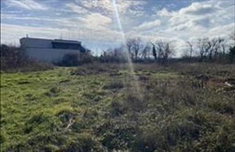 Eladó Papkeszi lakóövezeti telek hirdetés (34344937)