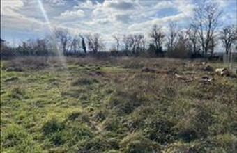 Eladó Papkeszi lakóövezeti telek hirdetés (34344937)