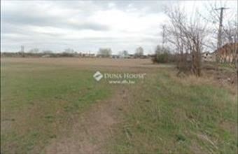 Eladó Pilisi fejlesztési lakóterület hirdetés (55325287)