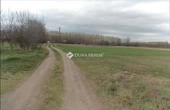 Eladó Pilisi fejlesztési lakóterület hirdetés (83364467)