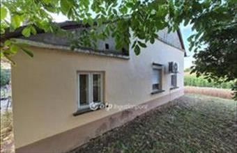 Eladó Hódmezővásárhelyi tanya hirdetés (42899572)