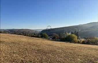 Eladó Szálkai lakóövezeti telek hirdetés (74764421)