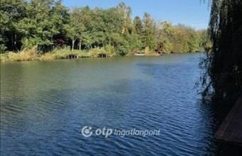 Eladó Gyomaendrődi hétvégi ház hirdetés (42857253)