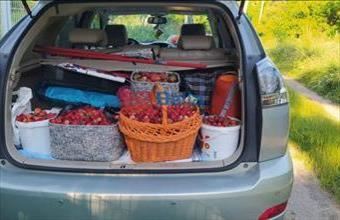 Kiadó Budapest XVII. kerületi egyéb telek hirdetés (73942846)