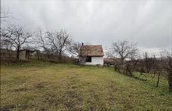 Eladó Ádándi egyéb mezőgazdasági ingatlan hirdetés (52715338)