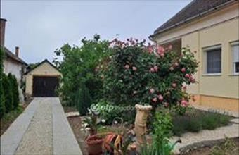 Eladó Makói családi ház hirdetés (73367374)