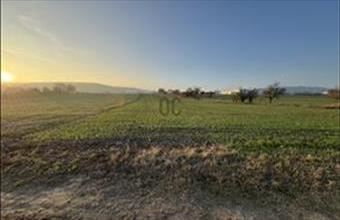 Eladó Szekszárdi külterületi telek hirdetés (74332282)