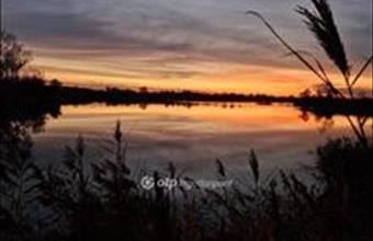 Eladó Délegyházai hétvégi ház hirdetés (35475913)