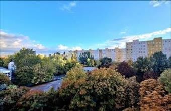 Eladó Budapest III. kerületi panel lakás hirdetés (59313955)