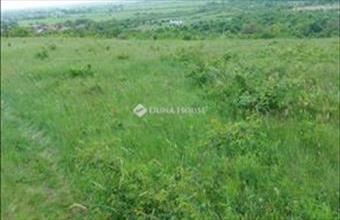 Eladó Szentendrei egyéb telek hirdetés (49674456)