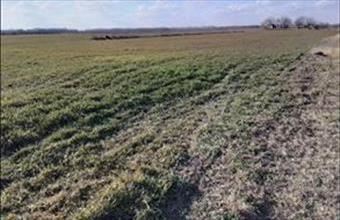 Eladó Helvéciai termőföld, szántó hirdetés (73183457)