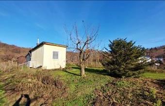 Eladó Váci egyéb mezőgazdasági ingatlan hirdetés (22227434)