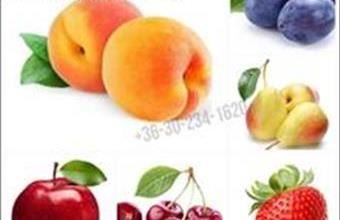 Eladó Váci egyéb mezőgazdasági ingatlan hirdetés (22227434)