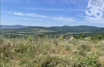 Eladó Szentendrei üdülőövezeti telek hirdetés (47968393)