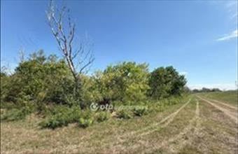 Eladó Gyomaendrődi külterületi telek hirdetés (25734394)