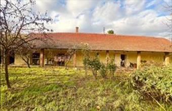 Eladó Békési családi ház hirdetés (47695417)