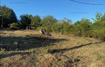 Eladó Szentendrei üdülőövezeti telek hirdetés (64597859)