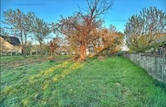 Eladó Solymári lakóövezeti telek hirdetés (33535295)