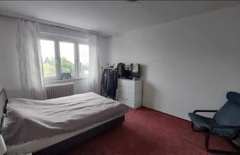 Eladó Százhalombattai panel lakás hirdetés (43999453)