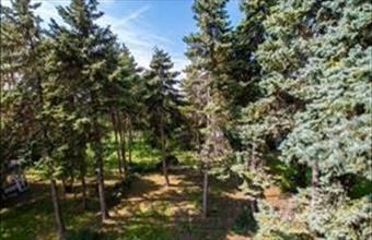 Eladó Gödi lakóövezeti telek hirdetés (35745716)