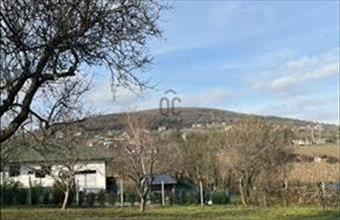 Eladó Csopaki lakóövezeti telek hirdetés (49364838)