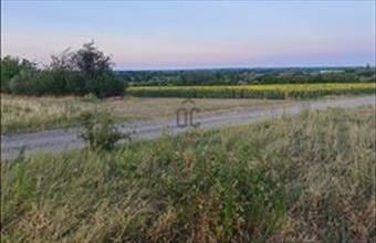 Eladó Pázmándi külterületi telek hirdetés (47365449)