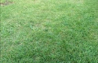 Eladó Gödi lakóövezeti telek hirdetés (33777362)