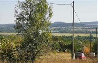 Eladó Tatai külterületi telek hirdetés (85742383)