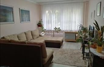 Eladó Kecskeméti családi ház hirdetés (38367727)