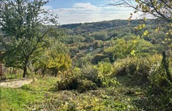 Eladó Pethőhenyei külterületi telek hirdetés (92424484)