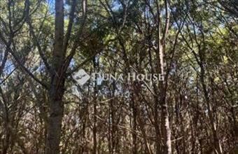 Eladó Martfűi külterületi telek hirdetés (44432835)