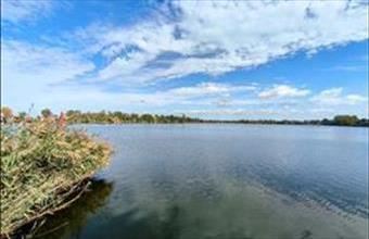 Eladó Békési hétvégi ház hirdetés (43897584)