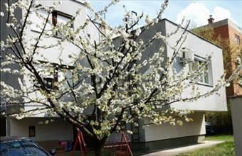 Eladó Debreceni tégla lakás hirdetés (39444545)