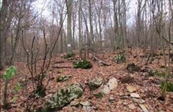 Eladó Bükkszentkereszti üdülőövezeti telek hirdetés (56549995)