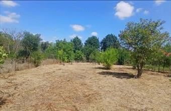 Eladó Szolnoki lakóövezeti telek hirdetés (24448666)