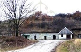 Eladó Felsőtárkányi erdő hirdetés (53255547)