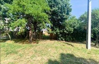 Eladó Békéscsabai lakóövezeti telek hirdetés (44457642)